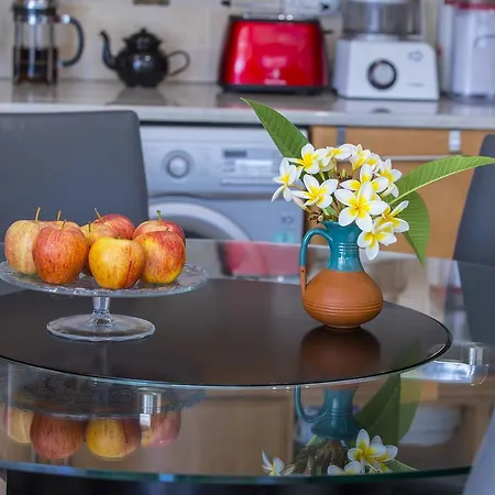 Elias 빌라 아이아 나파